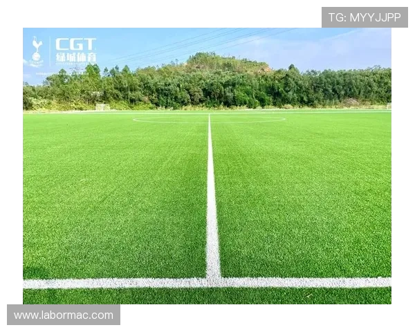 足球基地建设：天然草与人造草混合铺设技术在北方严寒地区的表现