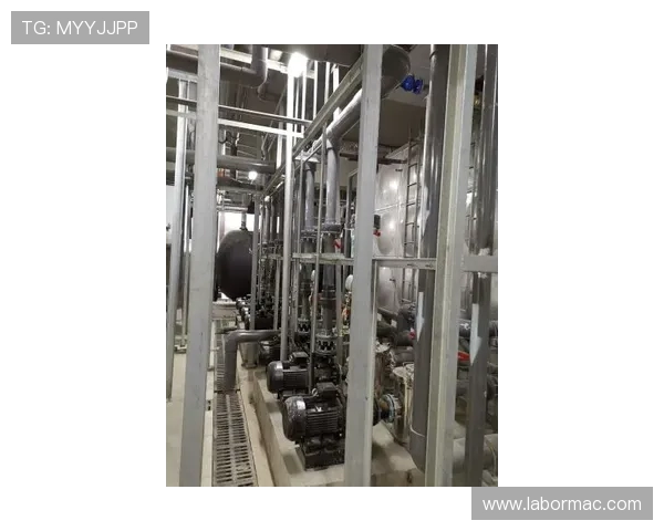 全球顶级游泳馆的水循环过滤与恒温稳定性